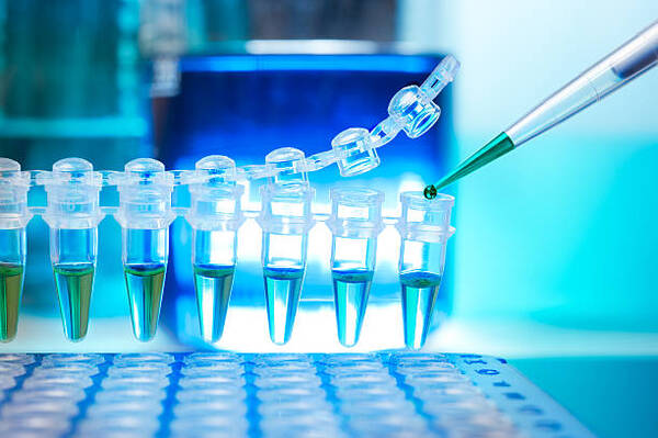 环保塑料制品研发与应用服务